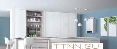 Настенный газовый котел Thermex Andromeda HM14 Настенный газовый котел Thermex Andromeda HM14