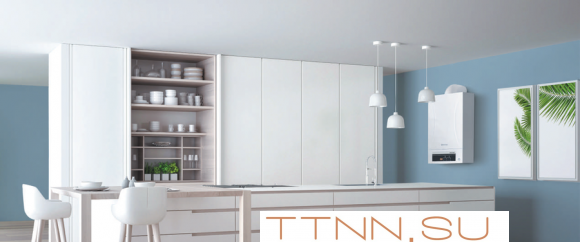 Настенный газовый котел Thermex Andromeda HM28