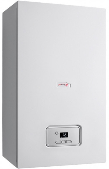 Газовый котел Protherm Гепард 23 MOV