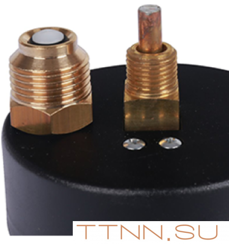 Термоманометр аксиальный Watts FR 818 (TMAX) 4 бар