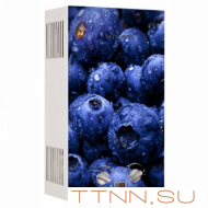 Газовая колонка VIVAT GLS 20-10 L NG с картинкой (Черника) автоподжиг 10 л/мин