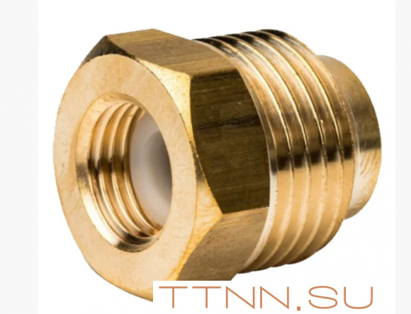 Термоманометр аксиальный Watts FR 818 (TMAX) 6 бар